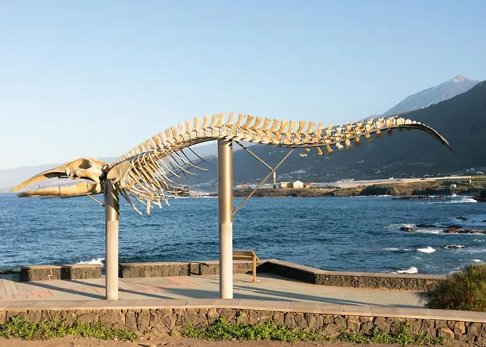 Home2book Spectacular Silos, Terrace Daire *